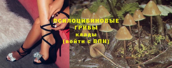 соль курить ск Бородино