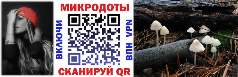 Купить  Киржач  Псилоцибиновые грибы Cubensis 